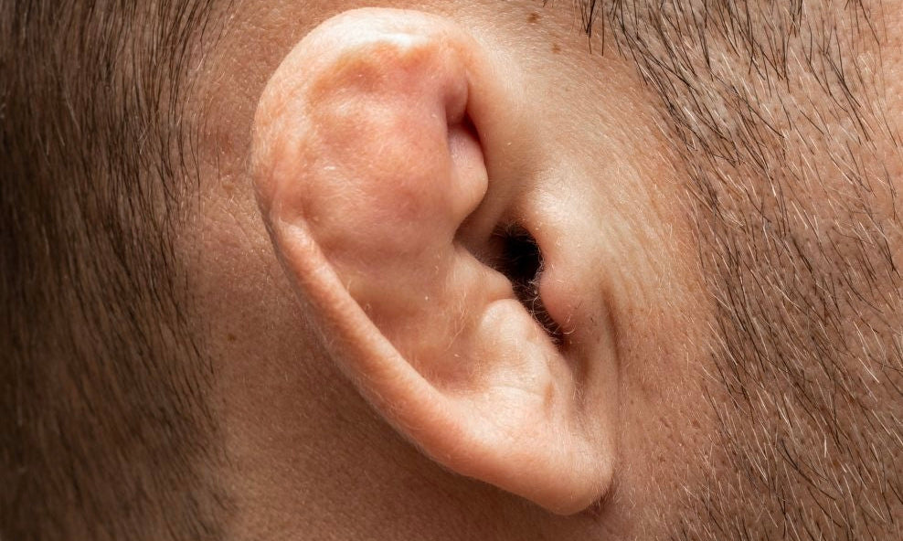 Con il piercing mi viene l’orecchio a cavolfiore?