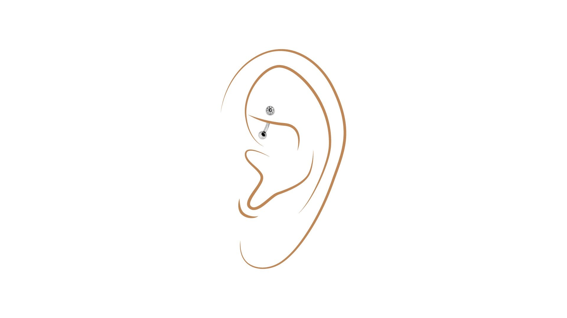 Rook