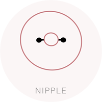 Piercing Nipple in Titanio