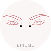 Piercing Bridge in Titanio