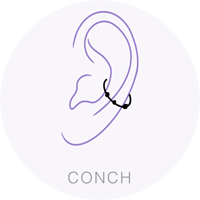 Conch Piercing Anallergico