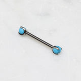 T sphere turquoise barbell